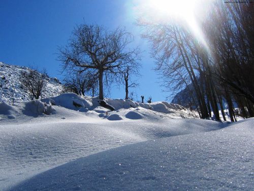 طبیعت برف ایران 54