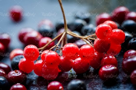 تمشک آبمیوه  آب میوه طبیعی توت جنگلی