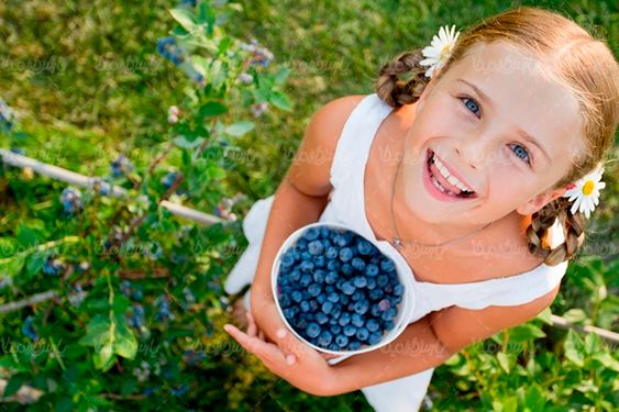 میوه فروشی آب میوه بلوبری