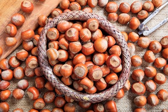 آجیل فروشی خشکبار فندوق