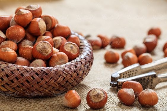 آجیل فروشی خشکبار فندوق
