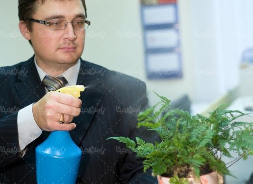 گلدان گلهای آپارتمانی آب پاش دستی