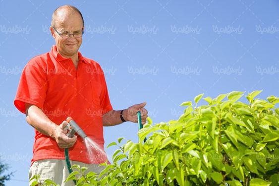 باغبانی  آبیاری درختان و گلها  منظره