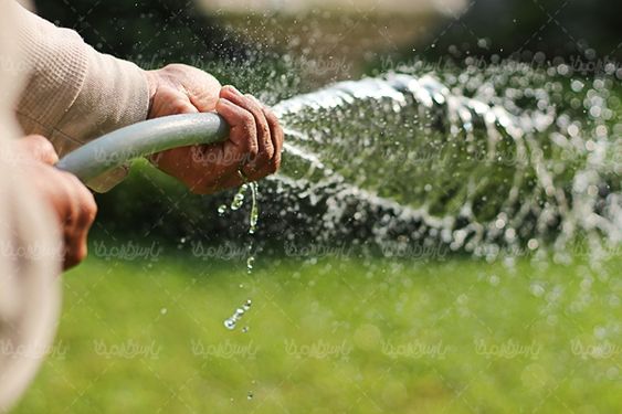 باغبانی  آبیاری درختان و گلها  منظره