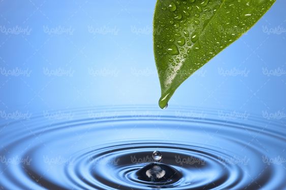 قطره آب منظره چشم انداز پریدن آب