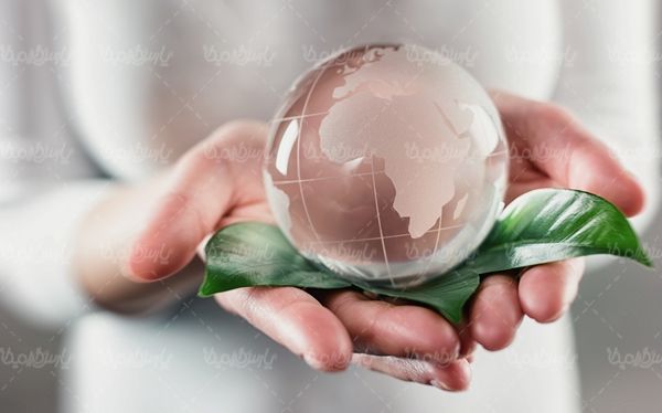 محیط زیست حفظ کره زمین اکولوژی