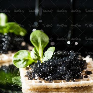 رستوران غذای آماده تهیه غذا