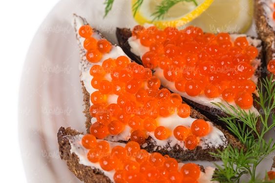 رستوران غذای آماده تهیه غذا