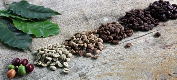 فنجان قهوه کافی شاپ نوشیدنی تلخ