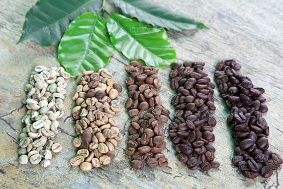 فنجان قهوه کافی شاپ نوشیدنی تلخ