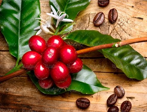 فنجان قهوه کافی شاپ نوشیدنی تلخ
