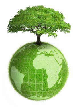 کره زمین محیط زیست حفظ کره زمین