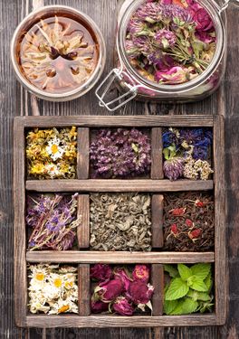 چای کیسه ای دمنوش گیاهی تی بگ