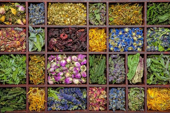 چای کیسه ای دمنوش گیاهی تی بگ