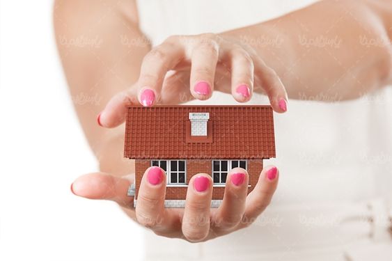 بیمه سازمان های بیمه insurance