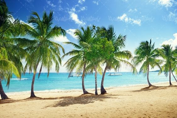 جزیره دریا منظره چشم انداز طبیعت