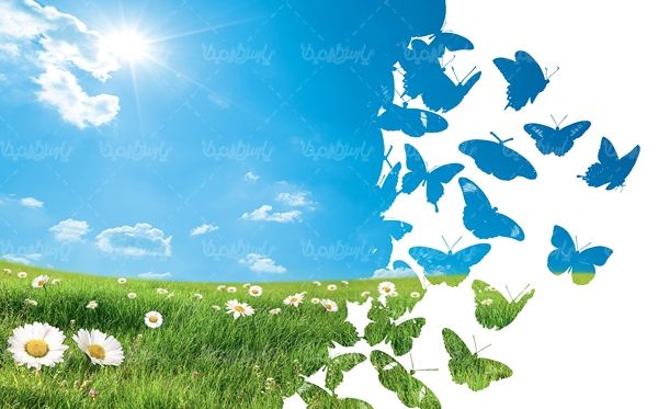 بهار طبیعت  اکولوژی حفظ محیط زیست