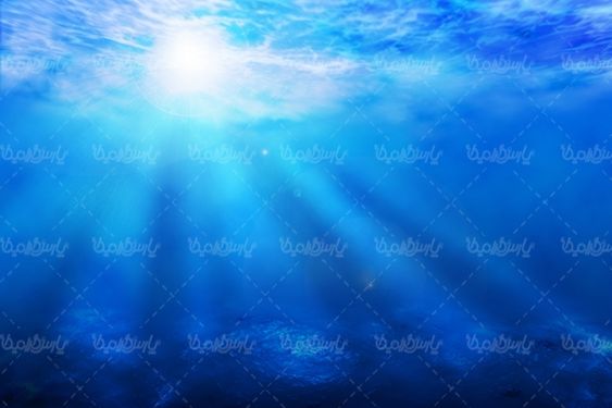 قواصی قواص  منظره زیر دریا