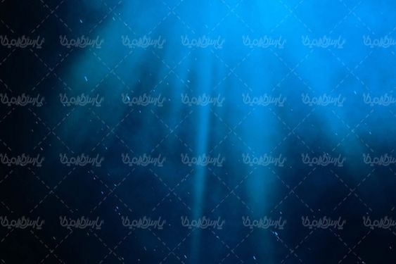 قواصی قواص  منظره زیر دریا آکواریوم