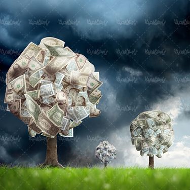 اقتصاد پس انداز سکه سرمایه گذاری پول