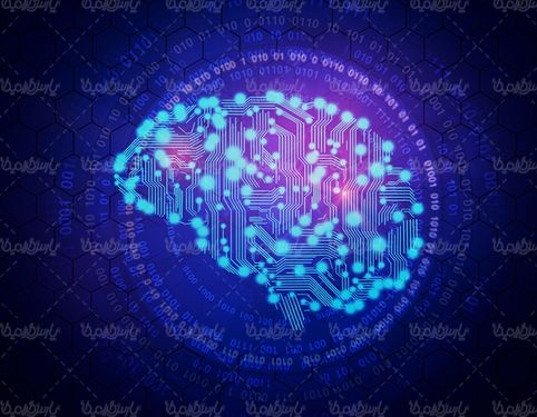 مغز مجازی brain  آناتومی مغز