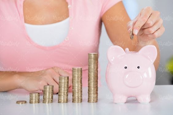 قلک خوکی پس انداز سرمایه گذاری