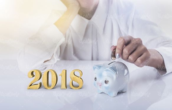 قلک خوکی پس انداز سرمایه گذاری