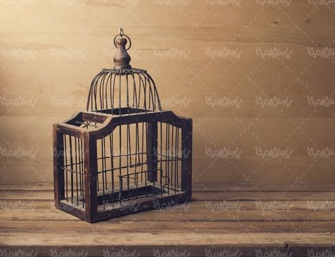 قفس پرنده پرنده فروشی