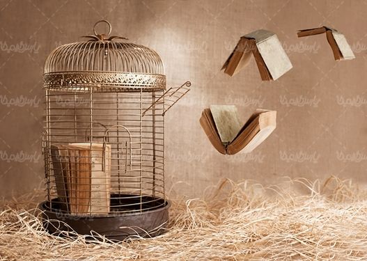 قفس پرنده پرنده فروشی