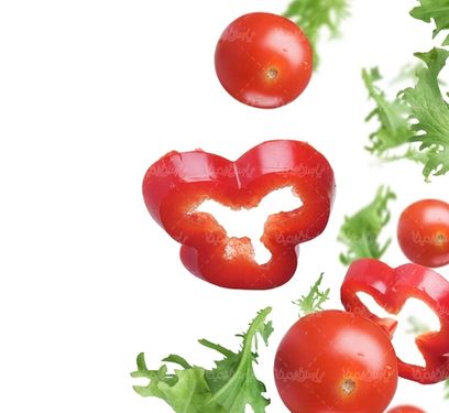 سالاد رستوران پیش غذا تهیه غذا