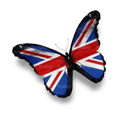 پروانه رنگی  butterfly پروانه زیبا