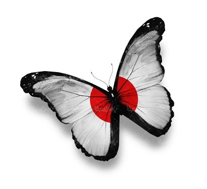 پروانه رنگی  butterfly پروانه زیبا