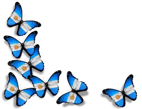 پروانه رنگی  butterfly پروانه زیبا