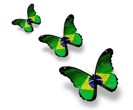 پروانه رنگی  butterfly پروانه زیبا