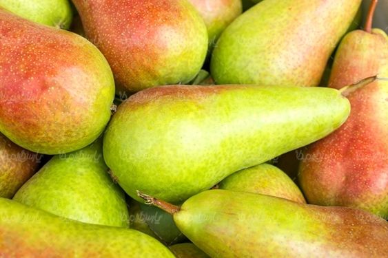 میوه فروشی سوپر میوه میوه سرا