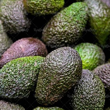میوه فروشی سوپر میوه آواکادو