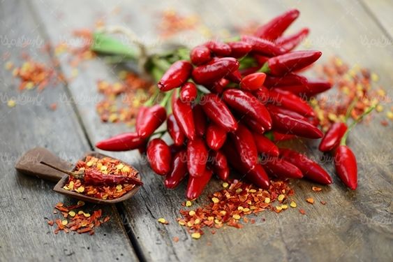 فلفل تند, فلفل  قرمز, فلفل قلمی,  فلفل تند آتیشی