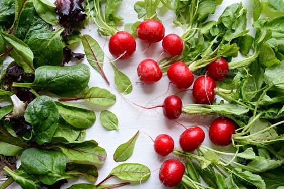 سبزیجات سبزی فروشی تربچه