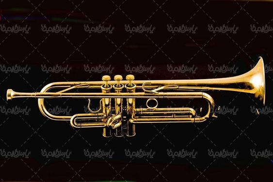 آلات موسیقی   گروه موسیقی