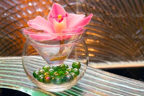گل  گلفروشی منظره چشم انداز