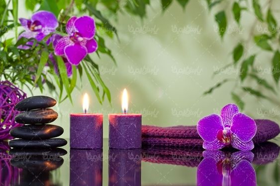 گل  گلفروشی منظره چشم انداز