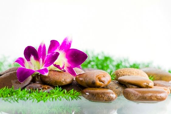 گل  گلفروشی منظره چشم انداز