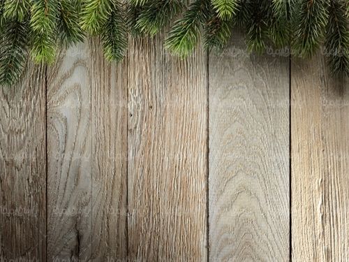 پس زمینه چوبی حاشیه برگ کاج