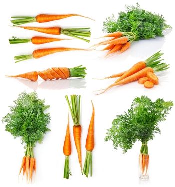 میوه فروشی میوه سرا سوپر میوه