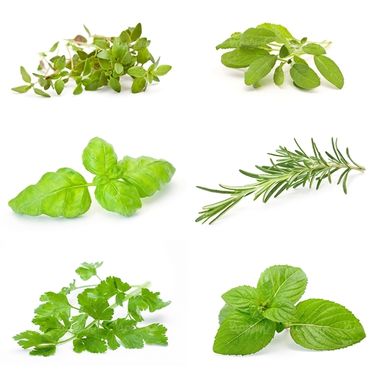 سبزیجات سبزی فروشی