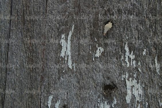 پس زمینه تکستچر رنگی بک گراند تکستچر