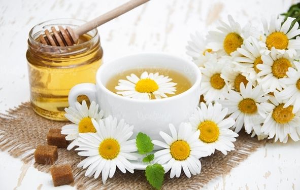 دم نوش چای گیاهی گل و گیاهان دارویی