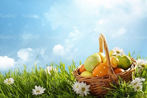 عید نوروز بهار تخم مرغ رنگی