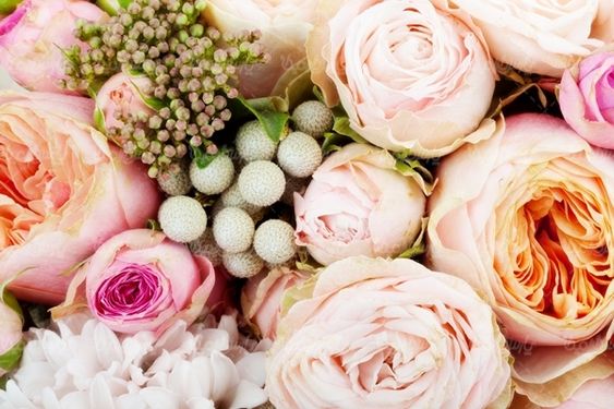 گل گلفروشی گالری گل و گیاه