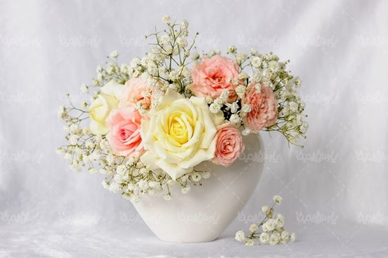 گل گلفروشی گالری گل و گیاه